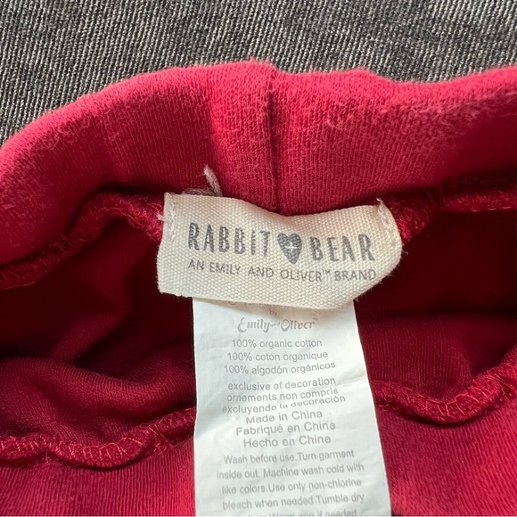 Rabbit + Bear Outfit Size 3-6 Months - Picture 9 of 10